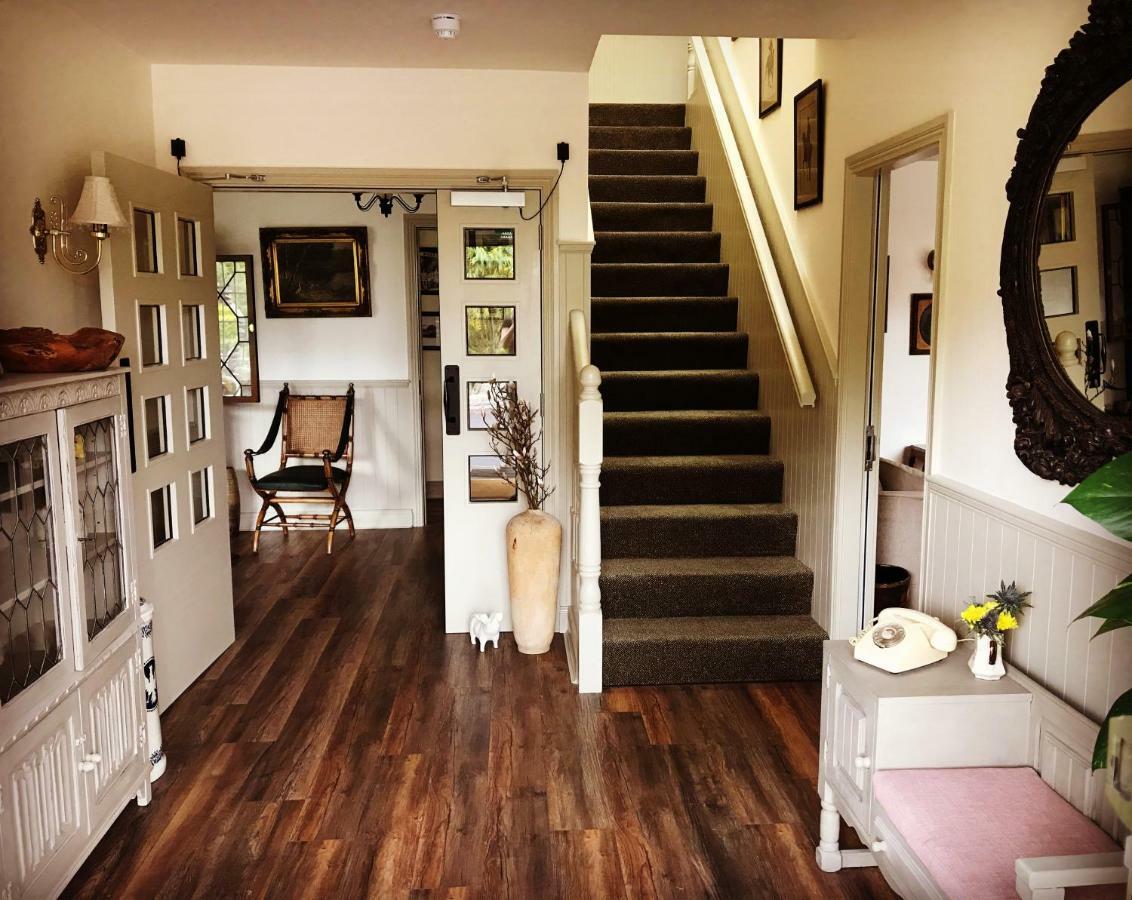 The Happy Pig Hotel Kenmare Ngoại thất bức ảnh