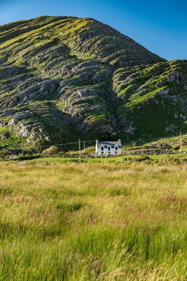 The Happy Pig Hotel Kenmare Ngoại thất bức ảnh